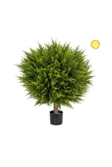 Topiary Cypress Ball with Pot BA 60x45cm