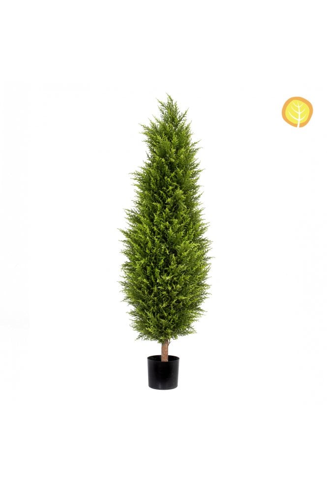 Topiary Cypress Tower with Pot 150cm UV