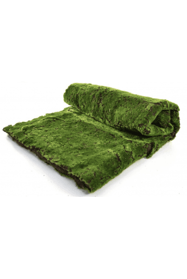 Topiary Moss Mat 100cm x 200cm