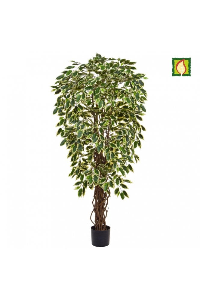 Artificial Ficus Tree Flame Resistant Variegated