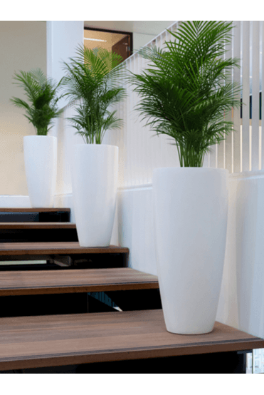 White Tall Matt Finish Planter 80cm X 37cm